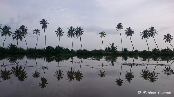 15 Things I Loved about Kumarakom Lake Resort