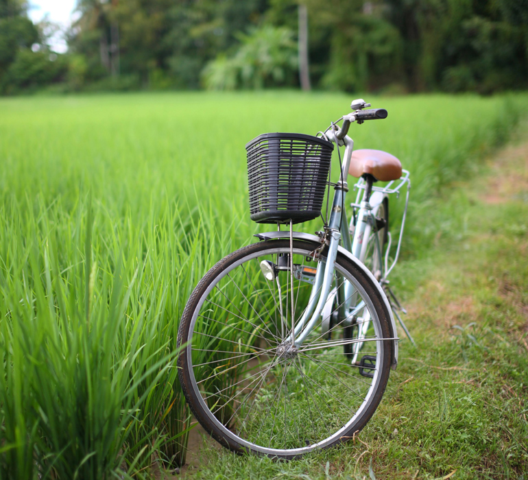 Cycle Tours