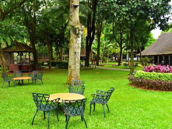 Thattukada, Traditional Tea Shop