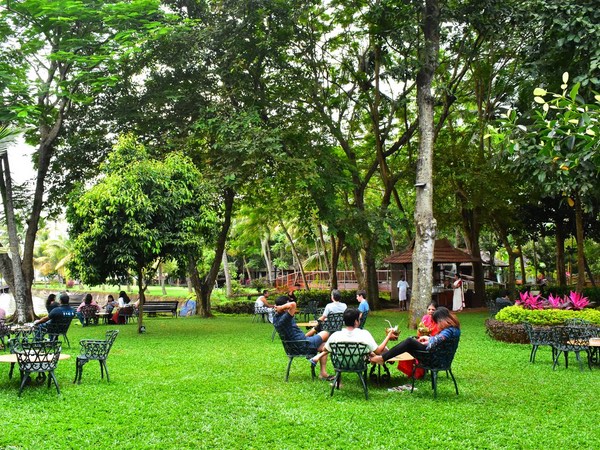 Thattukada, Traditional Tea Shop