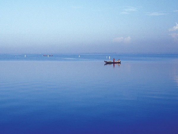 Activities On The Lake