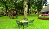 Thattukada, Traditional Tea Shop