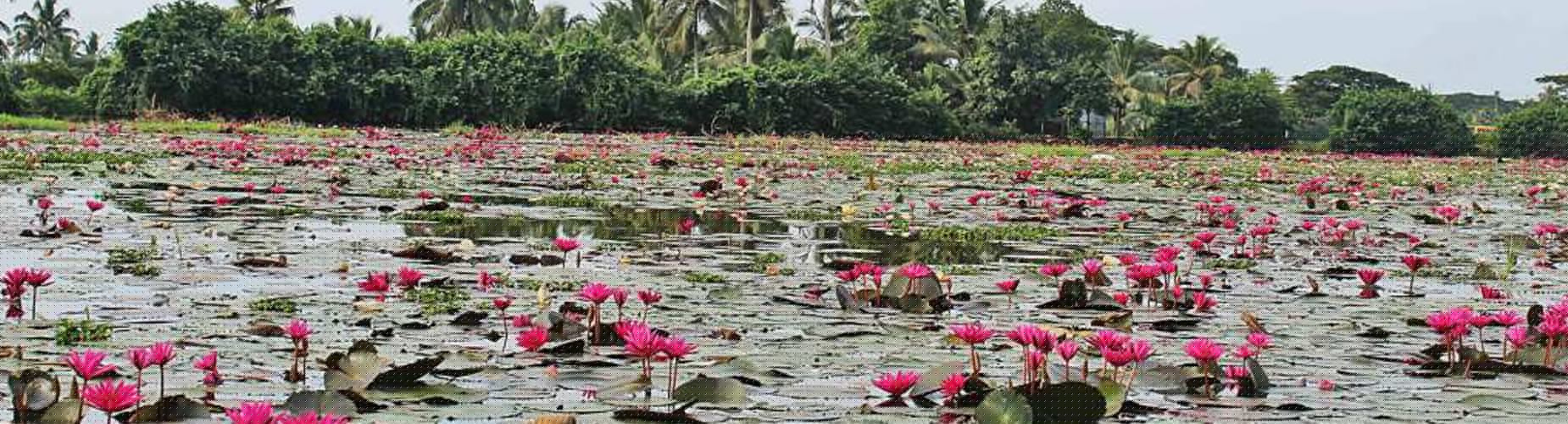 Kumarakom Lake Resort | A Luxury Kerala Retreat | By Ana USA