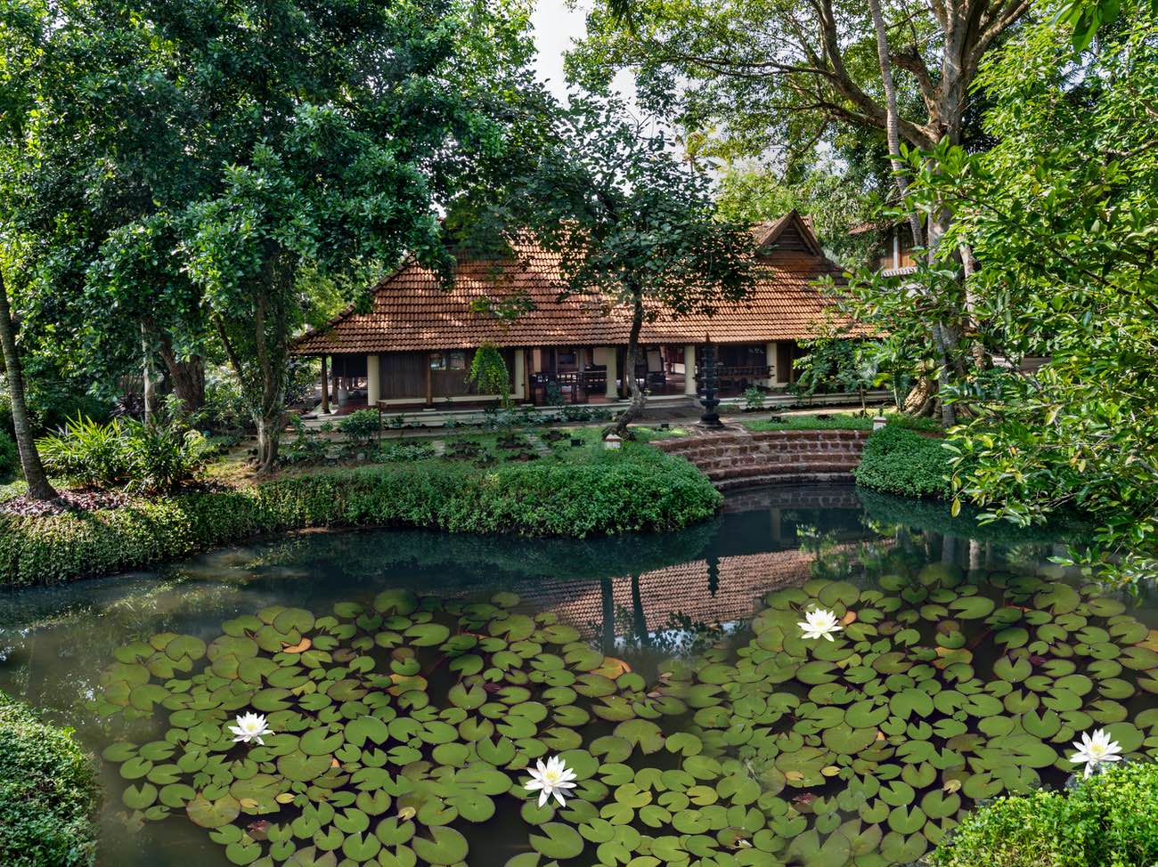 Stay Local, Experience Global